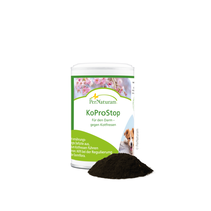 KoProStop - DarmRegeneration 100 g