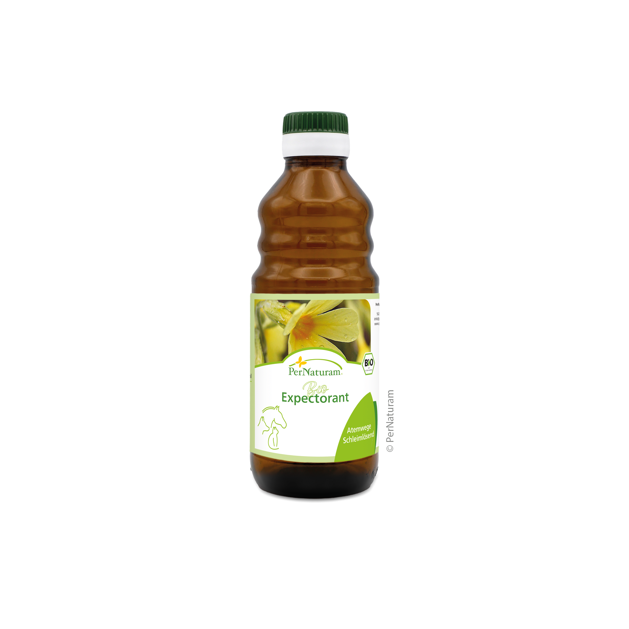 Bio Expectorant BronchialSaft 250 ml