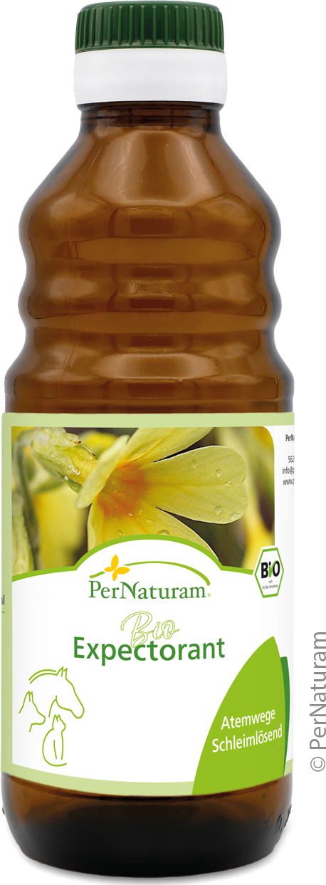 Bio Expectorant BronchialSaft 250 ml