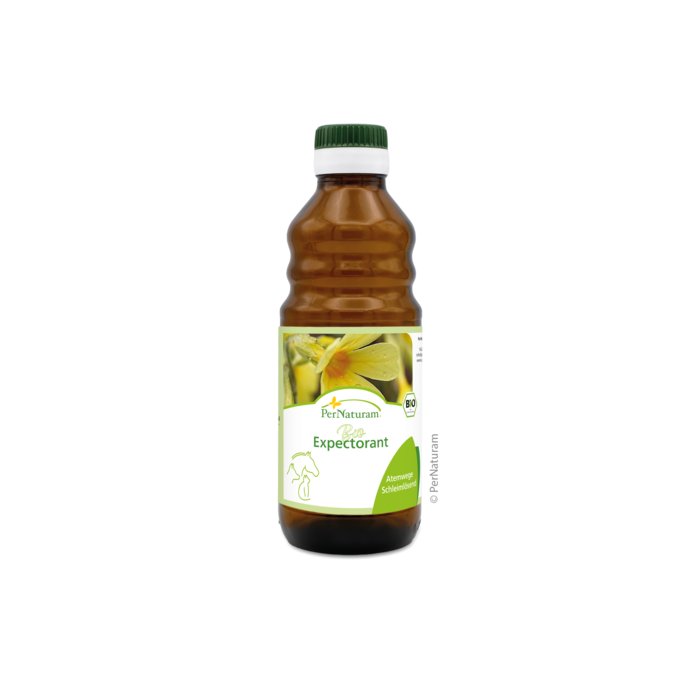 Bio Expectorant BronchialSaft 250 ml