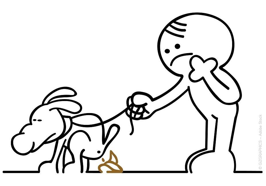 Blogbeitrag von PerNaturam über Hunde