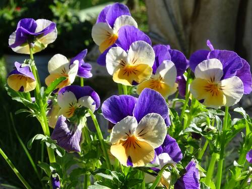 blog/fruehling-im-kasten